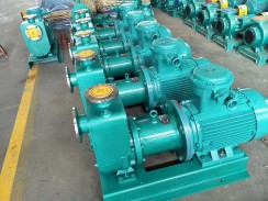 江蘇高溫磁力泵(bèng)