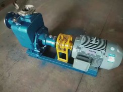 山(shān)東不鏽鋼自吸(xi)泵