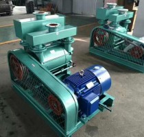 山東2BE水(shui)環真空泵(beng)