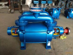 山東SK水(shuǐ)環真空泵(bèng)