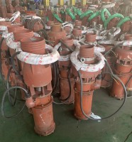 山(shan)東潛水泵(beng)