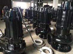 山東大(dà)型潛污泵(bèng)