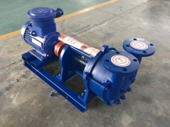 山東(dōng)2BV水環式真(zhen)空泵