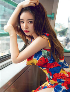 法证先锋3在线观看