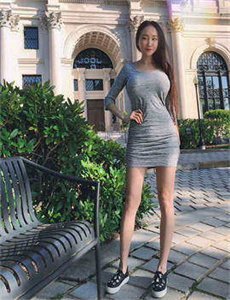 宝石宠物lady