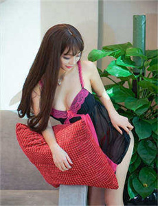 魔法使的新娘OAD3后篇